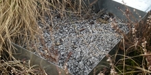 Review of evidence for medicated grit highlights importance of following best practice