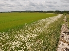 The Environmental Improvement Plan – will the actions speak louder than words?