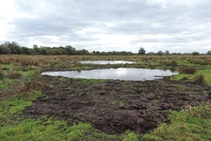 In-field pools