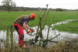 Sparsholt chainsaw