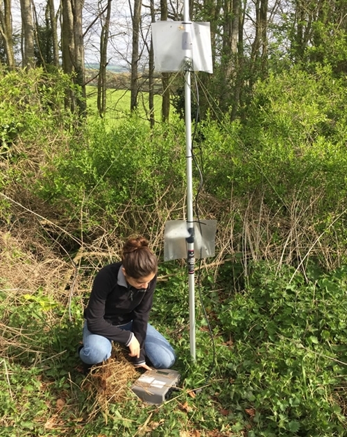 Allenford Anna Bat Detector Allenford Anna Bat Detector