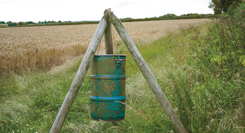 pheasant feeders