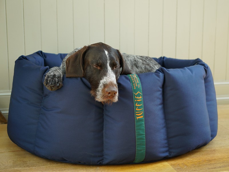 Tuffies store dog bed