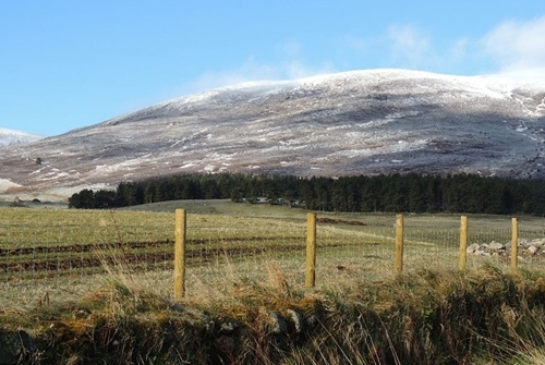 Winter landscape